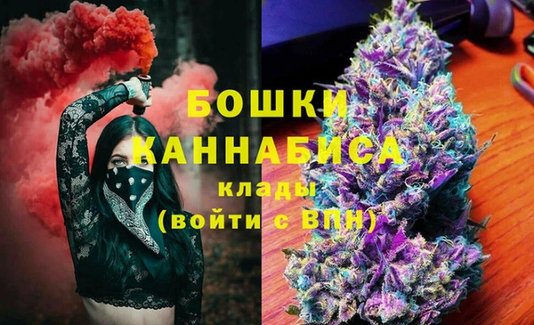 кокс Арсеньев