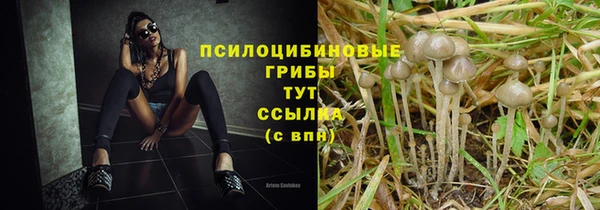эйфоретик Армянск