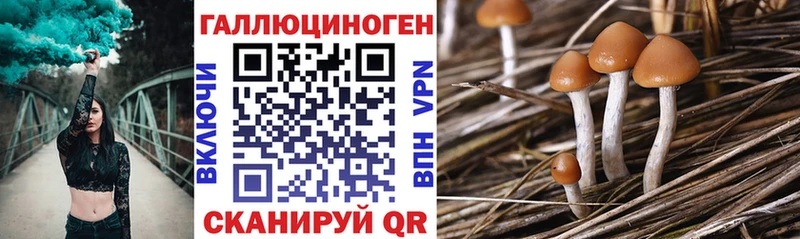 Галлюциногенные грибы мухоморы  Губаха 
